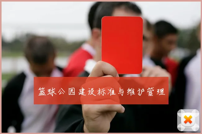 篮球公园建设标准与维护管理