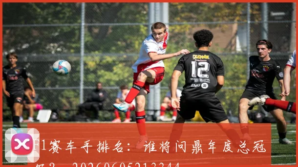 F1赛车手排名:谁将问鼎年度总冠军?_20260605213344